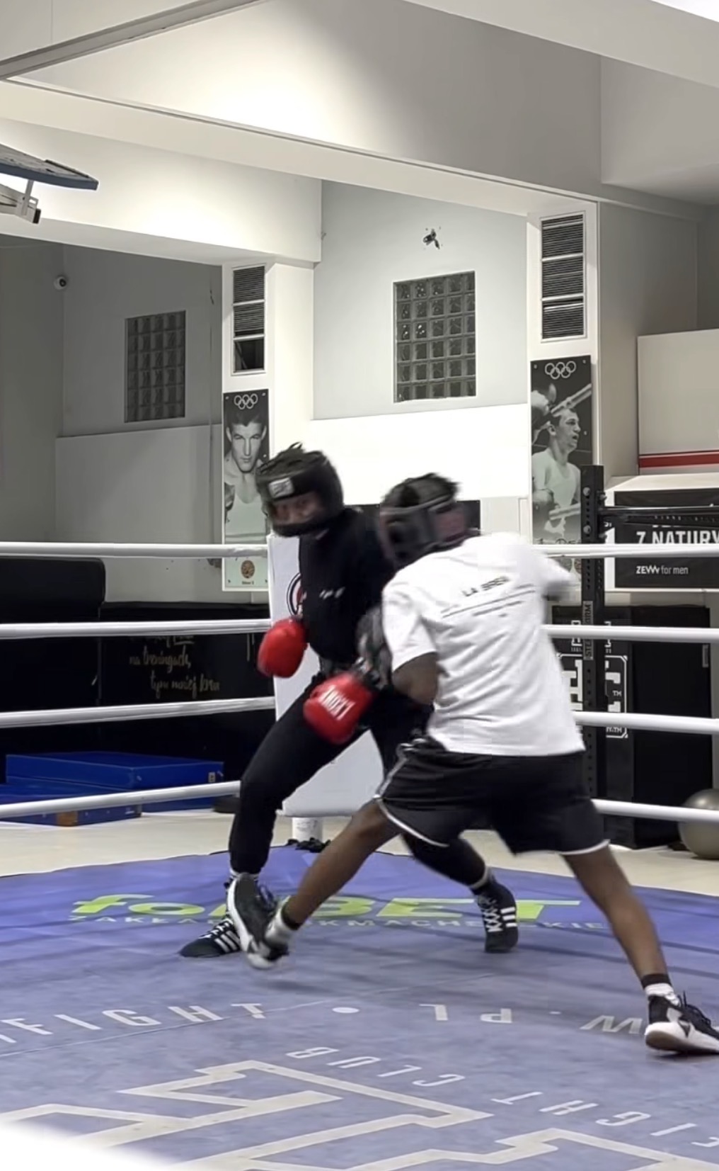 Sparring session in the ring